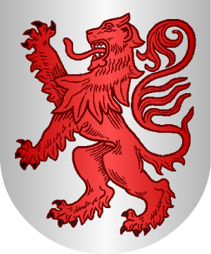 ESCUDO ALEATORIO