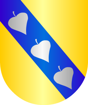 ESCUDO SIGUIENTE