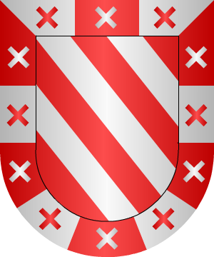ESCUDO SIGUIENTE
