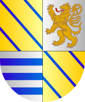 ESCUDO ALEATORIO