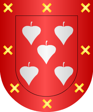 ESCUDO SIGUIENTE