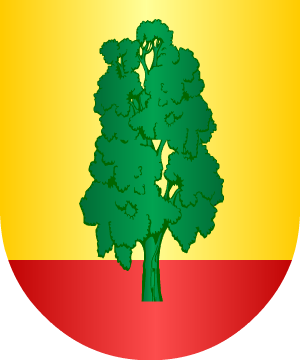 ESCUDO SIGUIENTE