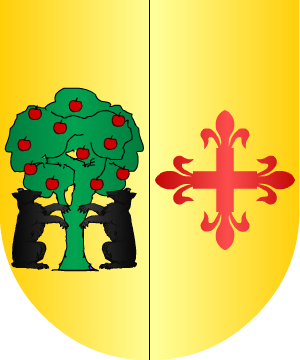 ESCUDO ALEATORIO