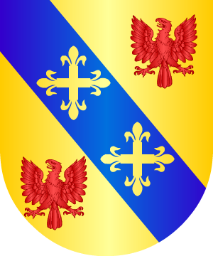 ESCUDO SIGUIENTE