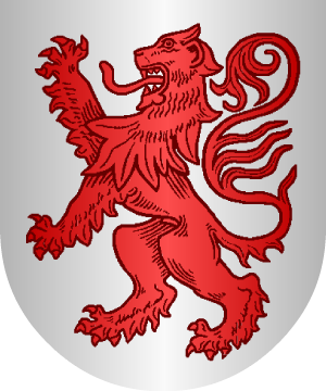 ESCUDO SIGUIENTE
