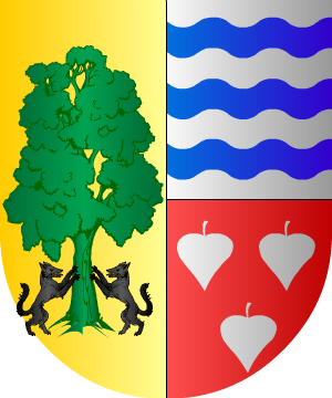 ESCUDO ALEATORIO