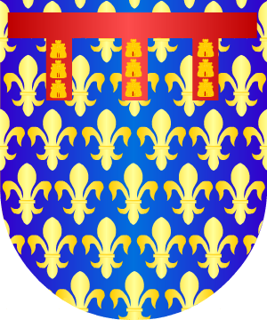 ESCUDO ALEATORIO