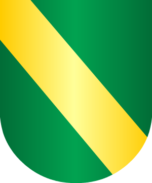 ESCUDO SIGUIENTE