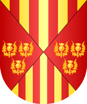 ESCUDO SIGUIENTE