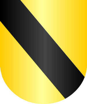 ESCUDO SIGUIENTE