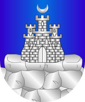ESCUDO SIGUIENTE