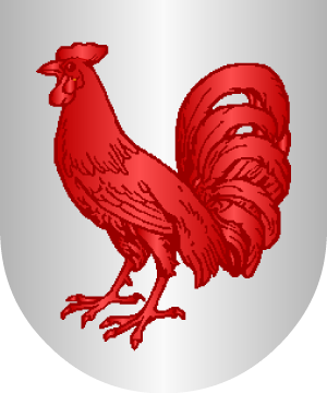 ESCUDO ALEATORIO