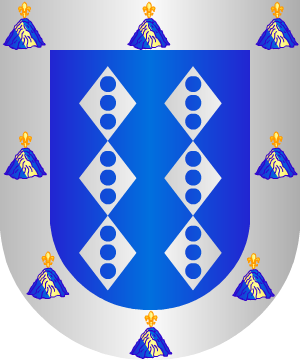 ESCUDO ALEATORIO
