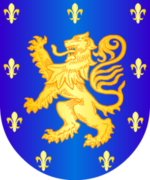 ESCUDO ALEATORIO