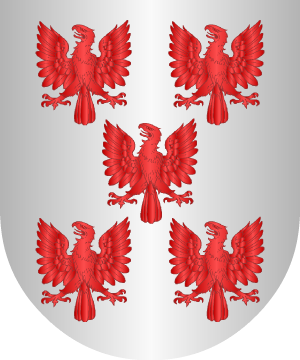 ESCUDO PRECEDENTE