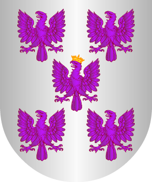 ESCUDO SIGUIENTE