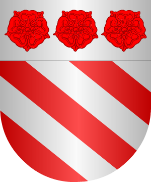ESCUDO SIGUIENTE