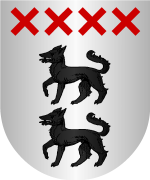 ESCUDO SIGUIENTE