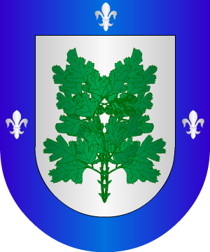 ESCUDO SIGUIENTE