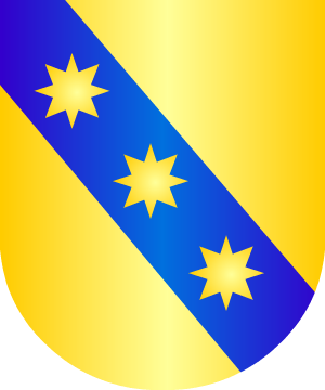 ESCUDO SIGUIENTE