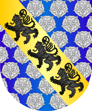 ESCUDO ALEATORIO