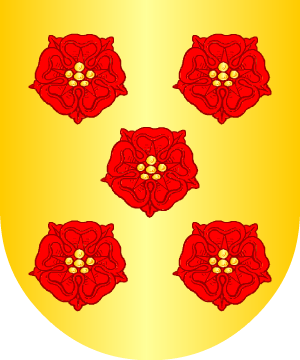 ESCUDO ALEATORIO