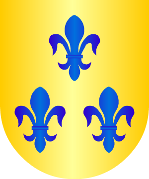 ESCUDO SIGUIENTE
