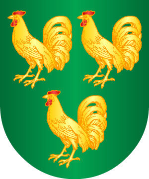 ESCUDO SIGUIENTE