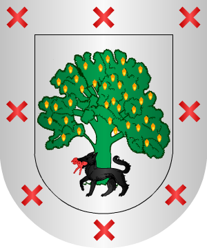ESCUDO SIGUIENTE