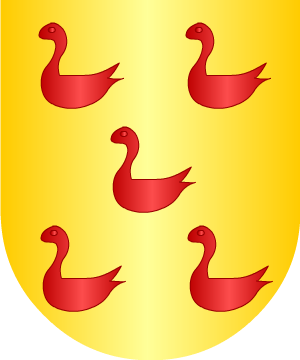 ESCUDO ALEATORIO