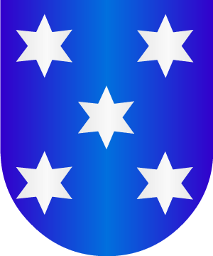 ESCUDO SIGUIENTE