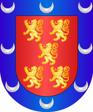 ESCUDO PRECEDENTE