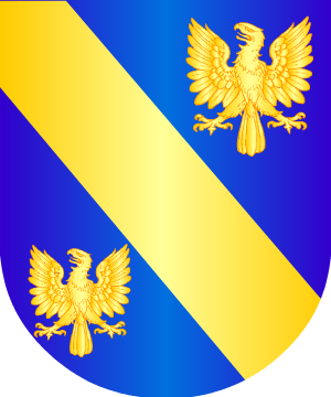 ESCUDO ALEATORIO