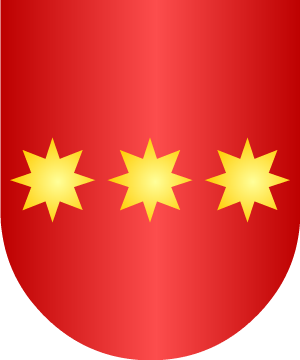 ESCUDO SIGUIENTE