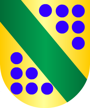 ESCUDO SIGUIENTE