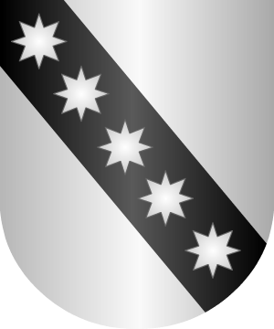 ESCUDO SIGUIENTE