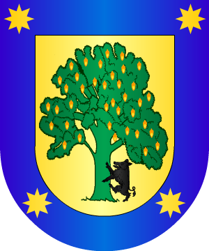 ESCUDO SIGUIENTE
