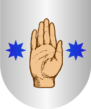 ESCUDO ALEATORIO