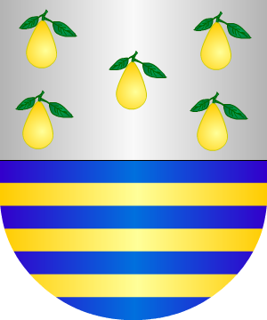 ESCUDO ALEATORIO