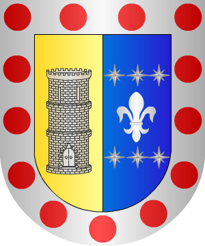 ESCUDO SIGUIENTE