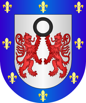 ESCUDO SIGUIENTE