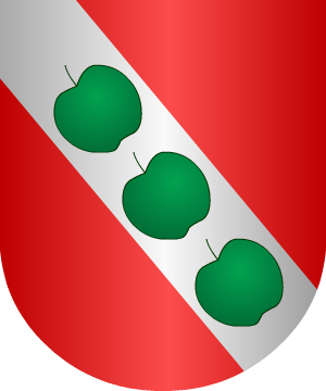 ESCUDO SIGUIENTE
