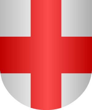 ESCUDO ALEATORIO