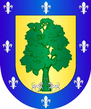 ESCUDO SIGUIENTE