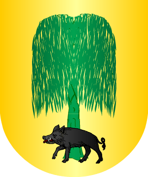 ESCUDO ALEATORIO