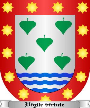 ESCUDO SIGUIENTE