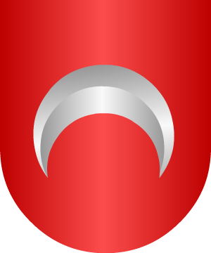 ESCUDO SIGUIENTE