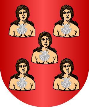 ESCUDO SIGUIENTE