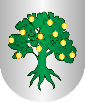 ESCUDO SIGUIENTE