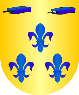 ESCUDO ALEATORIO
